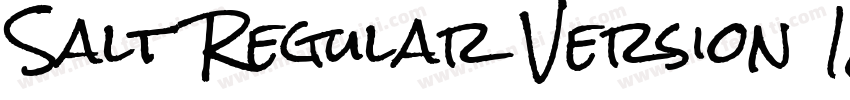 Salt Regular Version 1000字体转换